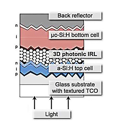 Schematic micromorph cell structure